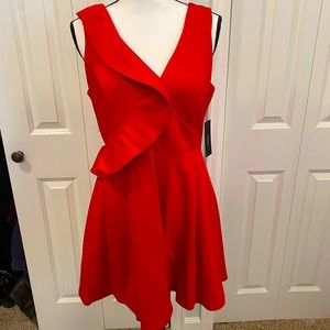 Perfect little short red dress. Ruffle in the right shoulder, zip up back.